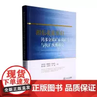 湘东北虎形山钨多金属矿床成矿作用与找矿预测研究 徐军伟 自然科学书籍