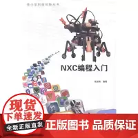 NXC编程入门 张政桢 语言程序设计 计算机与网络书籍