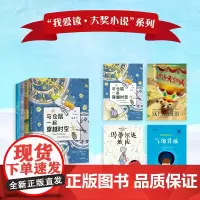 我爱读大奖小说系列:与仓鼠一起穿越时空+追逐天空的人+玛蒂尔达效应+气泡男孩(套装共4册)