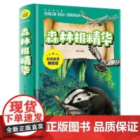森林报精华:拼音精装版 思远 农业、林业书籍