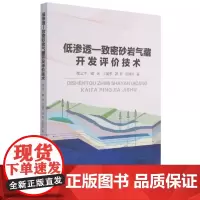 低渗透—致密砂岩气藏开发评价技术 程立华 低渗透油气藏砂岩油气田气田开发 自然科学书籍