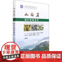 山西省成矿地质条件 王权等 区域地质成矿条件山西 自然科学书籍