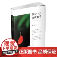 期待一只有缘的手 邓燕 散文诗诗集中国当代摄影集中国现 文学书籍
