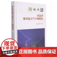 河北省强对流天气个例图集 连志鸾 强对流天气天气分析河北图集 自然科学书籍
