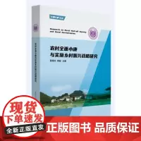 农村小康与实施乡村振兴战略研究/大国小康文丛 陈锡文 农村社会义建设研究中国 经济书籍