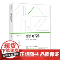 新南方写作:地缘、经验与想象(微光·青年批评家集丛(第四辑);唐弢青年文学奖得主全新专著;王德威作序)
