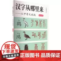 汉字从哪里来——从甲骨文说起 第九级 王本兴 著 语言文字文教 正版图书籍 福建教育出版社