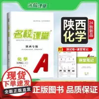 24秋上册陕西专版-《名校课堂》九年级化学(科粤)地区专版中考总复习资料初中必刷题同步练习