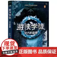 游侠学徒5:北方的巫师(神秘岛·文学海岸线 )