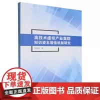 高技术虚拟产业集群知识资本增值机制研究