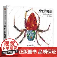 好忙的蜘蛛/信谊宝宝起步走 艾瑞·卡尔 著 邓美玲 译 绘本/图画书/少儿动漫书少儿 正版图书籍 明天出版社
