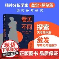 看见不同 关于想象力与创造力的新科学 盖尔·萨尔茨 思维差异 天才潜能 中信出版社图书 正版书籍