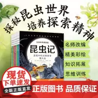 昆虫记 注音科学探索版全套10册季改编小法布尔侦探冒险故事书探秘昆虫小百科彩绘图画书小学生课外阅读书籍6-9岁儿童科