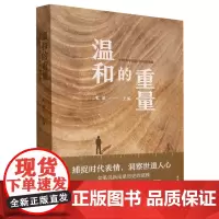 温和的重量:中国青年报20年特稿选编