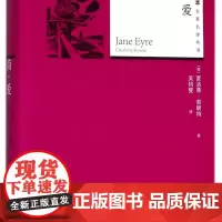 简·爱/插图本名著名译丛书
