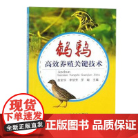 鹌鹑高效养殖关键技术 赵宝华,李慧芳,罗峻 编 中国农业出版社9787109234925