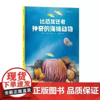 浪花朵朵正版 比恐龙还老!神奇的海绵动物 7-10岁 科普百科 物种起源海洋生物 史前动物