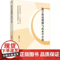数字贸易规则与高水平开放 李墨丝 著 国内贸易经济经管、励志 正版图书籍 上海人民出版社