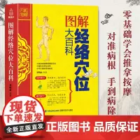 QHL正版 经络穴位大百科 人体穴位图解大全书籍手法教程书中医推拿按摩书籍 零基础学会全身养生书籍大全取穴的针灸艾灸疗法