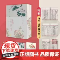 正版 许渊冲:美得窒息的诗经 3本套 中英双语诗画集 诗经英汉对照