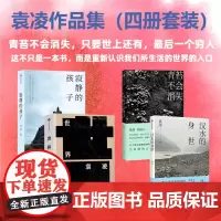 袁凌作品集(套装3册)汉水的身世+青苔不会消失+寂静的孩子+世界