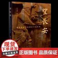 望长安 海外博物馆收藏的中国故事 霍宏伟 著 三联书店店