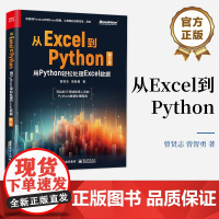 正版 从Excel到Python 用Python轻松处理Excel数据 第2版第二版 Python数据处理基础指南 Pa
