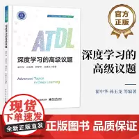 正版 深度学习的高级议题 人工智能前沿理论与技术应用丛书 深度学习知识进阶性探讨 翟中华 等 著 电子工业出版社