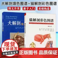 猫解剖彩色图谱+犬解剖填色图谱 套装两本9787565519369 猫解剖书籍 犬解剖书籍 犬猫解剖书籍 犬猫解剖医学书