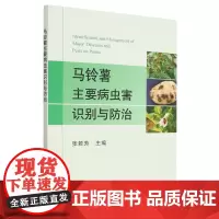 马铃薯主要病虫害识别与防治 张若芳 编 中国农业出版社9787109199866