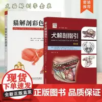 全新正版 2本套装 犬解剖指引 第8版 猫解剖彩色图谱 犬猫解剖书籍 9787565519369