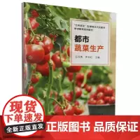 都市蔬菜生产 王月英 齐长红主编 9787109301580 中国农业出版社教材 活页教材耕读教育系列教材
