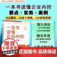 一本书读懂企业内控 要点实务案例 企业内部控制体系建立设计实施企业管理者财务人员参照范本培训机构企业管理培训参考教材图书