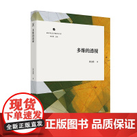 多维的透视 新时代文学批评丛书