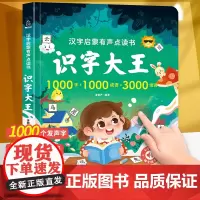 QHL识字大王发声书 汉字启蒙有声点读书 幼儿学汉字趣味认字幼儿园3-6-7岁学前儿童绘本宝宝看图拼音教材手指点读认知发