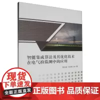 智能集成算法及其优化技术在电气检监测中的应用