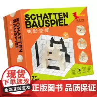 Dusym筑影空间思维训练积木玩具