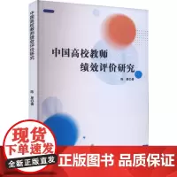 中国高校教师绩效评价研究 陈星 著 育儿其他文教 正版图书籍 文化发展出版社