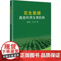 花生氮磷高效利用生理机制 杨丽玉 编 中国农业科学技术出版社9787511665034