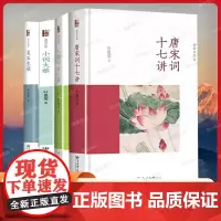 词学宗师叶嘉莹作品集共4册 唐宋词十七讲+美玉生烟+人间词话七讲+小词大雅 中国古典诗词摆渡人叶嘉莹 经典著作集正版书籍