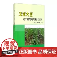 玉米大豆间作精简高效栽培技术 高凤菊,赵文路 编 中国农业科学技术出版社9787511651938