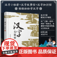 汉字有秘密 肆 吴京鸣编著 精选小学语文49个基础汉字 追寻字源解读汉字秘密 汉字字形演变字意解释 同组汉字联系与区别