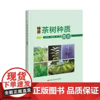 特异茶树种质图志 陈常颂 单睿阳 编 中国农业科学技术出版社9787511659668
