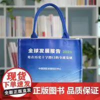 全球发展报告2023高端定制帆布包