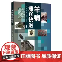 QHL正版 羊病速诊快治养羊技术书籍大全羊病治疗书籍高效科学养羊肉羊规模化养殖饲养喂养山羊小尾羊散养圈养快速出栏方法技巧