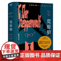 荒原狼 诺贝尔文学奖得主黑塞自传式小说 悉达多译者姜乙2023新译作 一部反对平庸的勇气诗篇 外国经典长篇小说 正版书籍