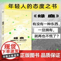 绿血宋迅著 中国当代短篇小说中国现代文学作品选故事集 年轻人励志成长情绪书籍书排行榜