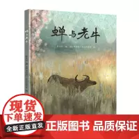 蝉与老牛 曹 著布丽塔泰肯特鲁普绘 情感和自然绘本书籍 4-8岁 接力