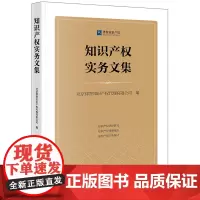 知识产权实务文集 北京律智知识产权代理有限公司编 法律出版社