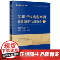 知识产权典型案例律师策略与法律分析(二)盈科律师事务所编 王承恩主编 闫东伟 余清凯副主编 法律出版社